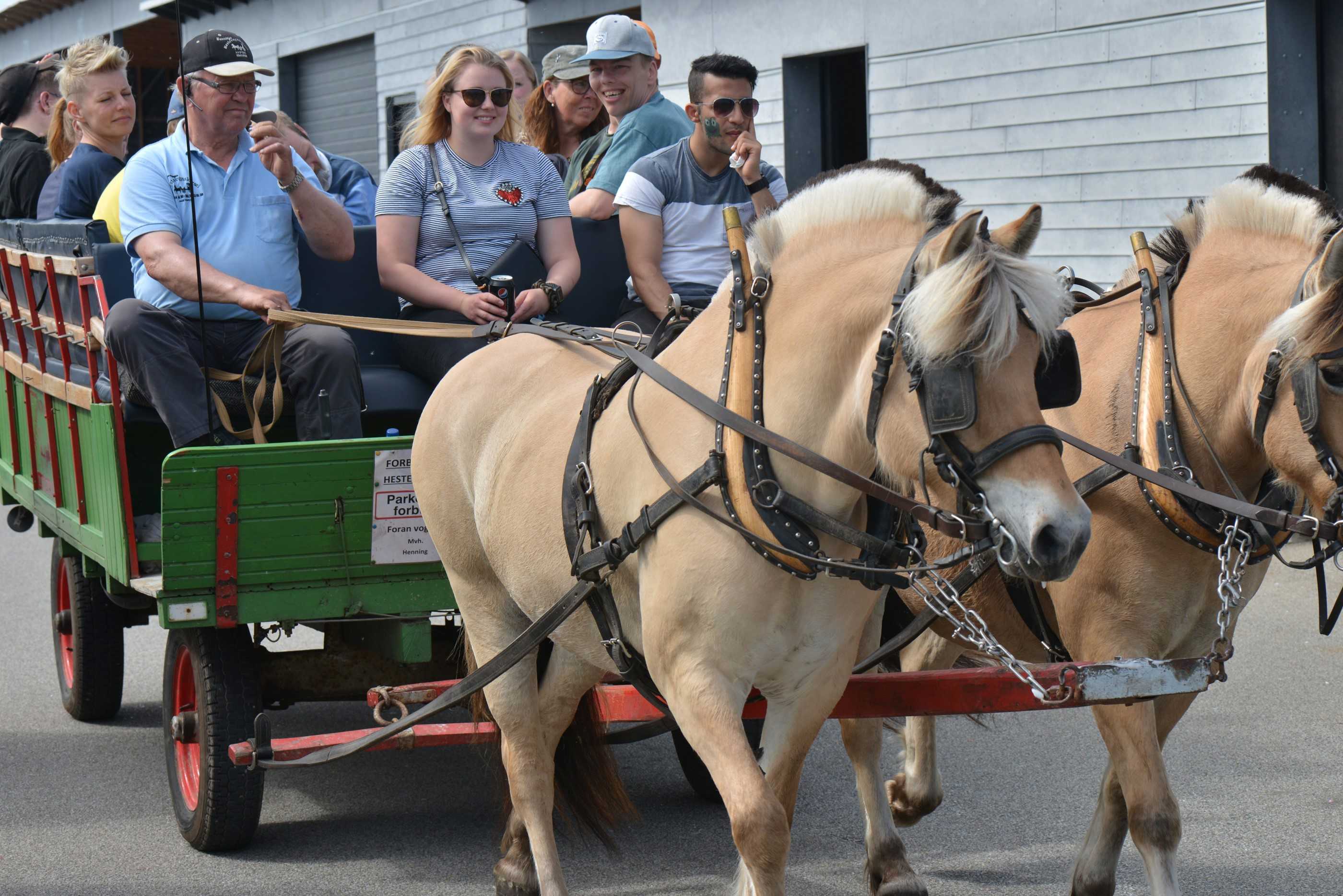 Sansefestival 2018 - 16